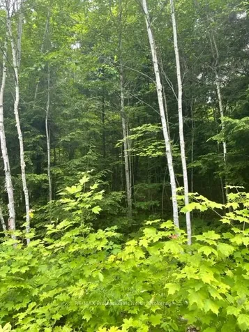 0 Big Hawk Lake Road Algonquin Highlands ON K0M 1S0