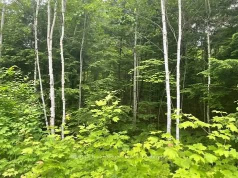 0 Big Hawk Lake Road Algonquin Highlands ON K0M 1S0