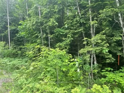 0 Big Hawk Lake Road Algonquin Highlands ON K0M 1S0