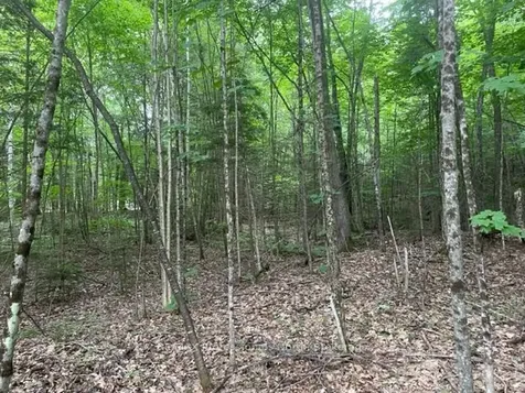 0 Big Hawk Lake Road Algonquin Highlands ON K0M 1S0