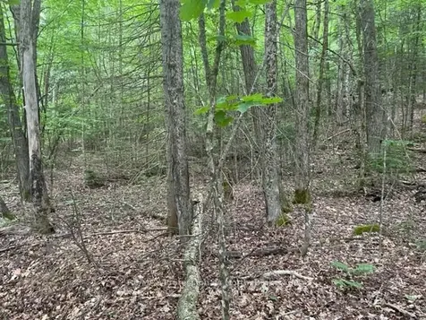 0 Big Hawk Lake Road Algonquin Highlands ON K0M 1S0