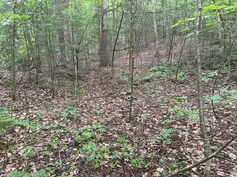 0 Big Hawk Lake Road Algonquin Highlands ON K0M 1S0