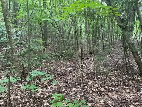 0 Big Hawk Lake Road Algonquin Highlands ON K0M 1S0