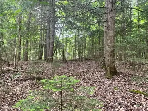 0 Big Hawk Lake Road Algonquin Highlands ON K0M 1S0