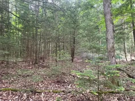 0 Big Hawk Lake Road Algonquin Highlands ON K0M 1S0