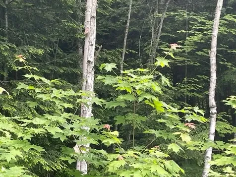 0 Big Hawk Lake Road Algonquin Highlands ON K0M 1S0