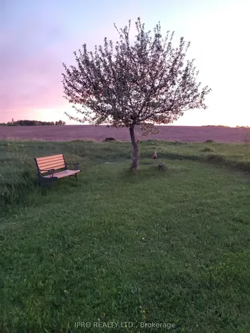 513506 2nd Line Amaranth ON L9W 0S4