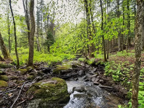 2302 Buckslide Road Algonquin Highlands ON K0M 1J1