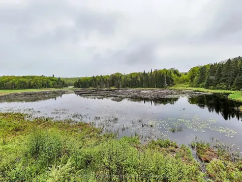 2302 Buckslide Road Algonquin Highlands ON K0M 1J1