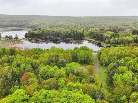 2302 Buckslide Road Algonquin Highlands ON K0M 1J1