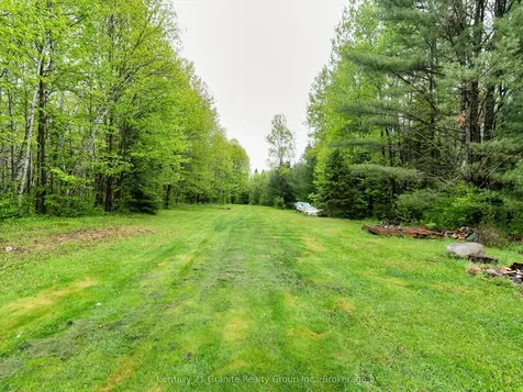 2302 Buckslide Road Algonquin Highlands ON K0M 1J1