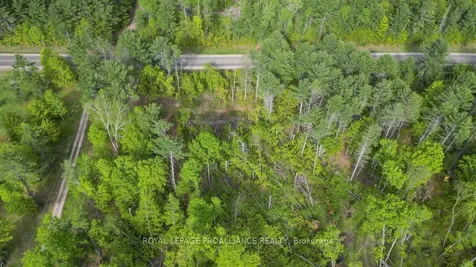 3776 B Buckshot Lake Road Addington Highlands ON K0H 2M0