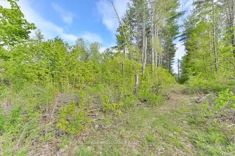 3776 B Buckshot Lake Road Addington Highlands ON K0H 2M0