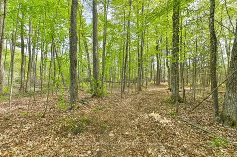 3776 B Buckshot Lake Road Addington Highlands ON K0H 2M0