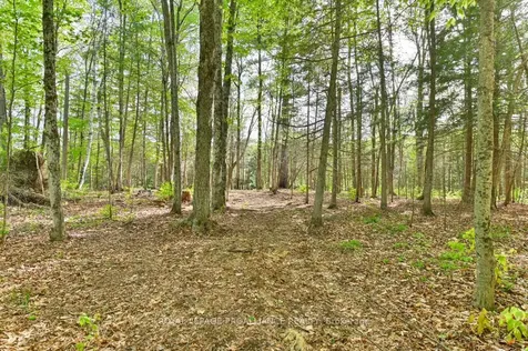 3776 B Buckshot Lake Road Addington Highlands ON K0H 2M0