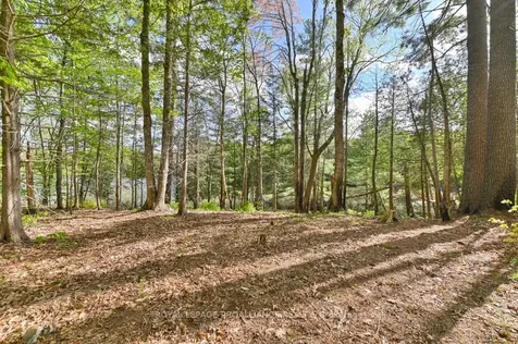 3776 B Buckshot Lake Road Addington Highlands ON K0H 2M0