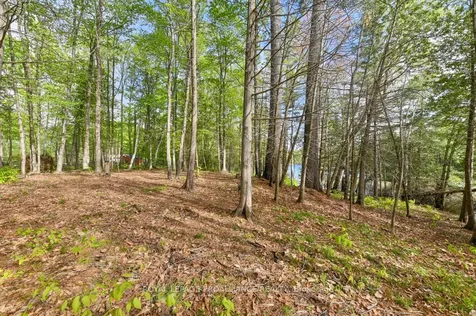 3776 B Buckshot Lake Road Addington Highlands ON K0H 2M0