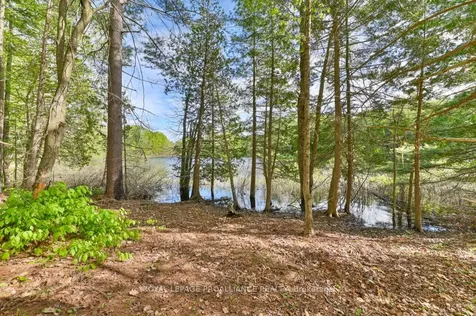 3776 B Buckshot Lake Road Addington Highlands ON K0H 2M0