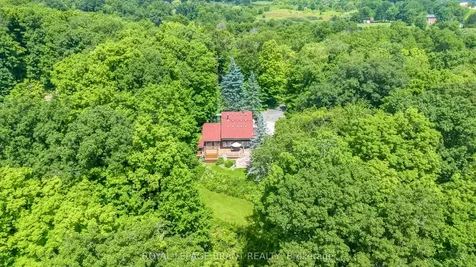 226 Mclean School Road Brant ON N0E 1N0