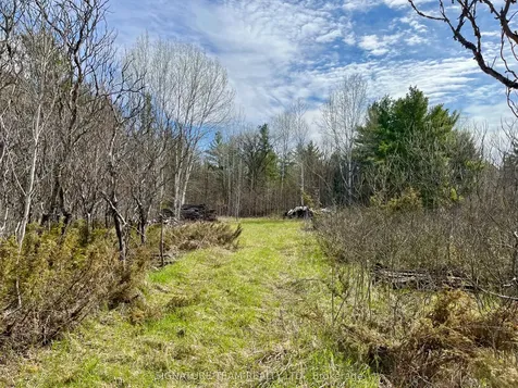 1528 Mcgrath Road Bonnechere Valley ON K0J 1T0