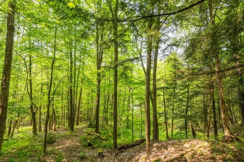 17 Sadler Drive Bracebridge ON P1L 1K5