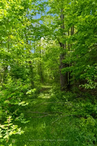 2455 Highway 9 Highway Brockton ON N0G 2V0