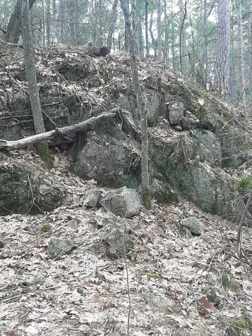 102 Mazinaw Lake N/a Addington Highlands ON K0H 1K0