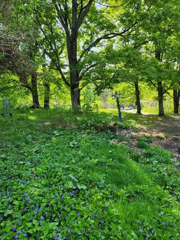 25442 Highway 62 Highway Bancroft ON K0L 2L0