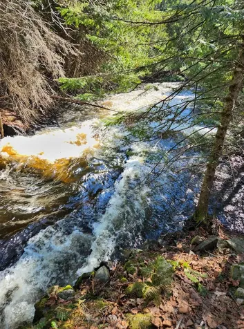 25442 Highway 62 Highway Bancroft ON K0L 2L0