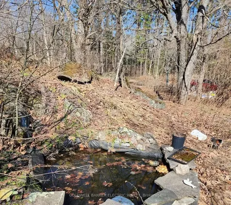 25442 Highway 62 Highway Bancroft ON K0L 2L0