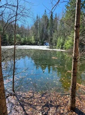 25442 Highway 62 Highway Bancroft ON K0L 2L0