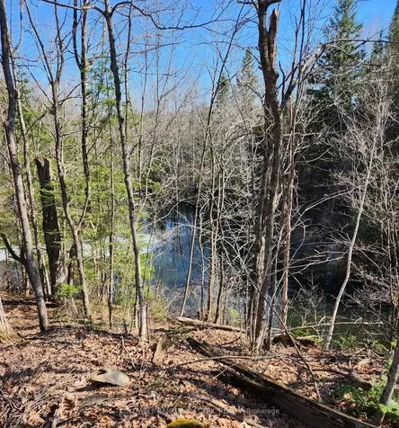 25442 Highway 62 Highway Bancroft ON K0L 2L0