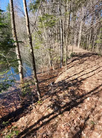 25442 Highway 62 Highway Bancroft ON K0L 2L0