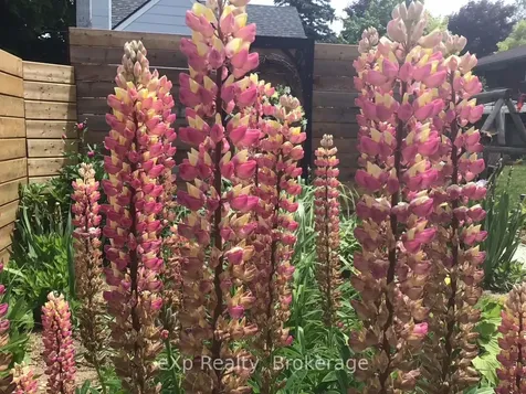 11 Elizabeth Street Brockton ON N0G 2V0