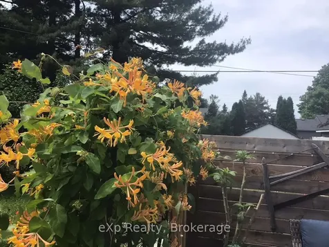 11 Elizabeth Street Brockton ON N0G 2V0