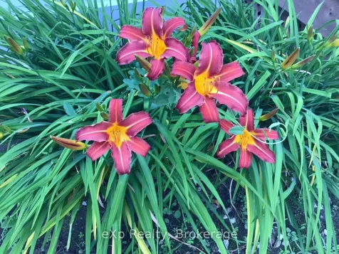 11 Elizabeth Street Brockton ON N0G 2V0