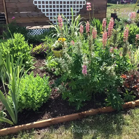 11 Elizabeth Street Brockton ON N0G 2V0