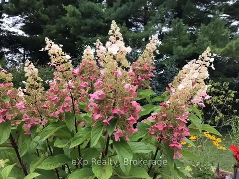 11 Elizabeth Street Brockton ON N0G 2V0