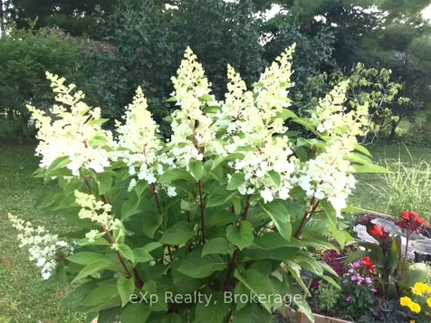 11 Elizabeth Street Brockton ON N0G 2V0