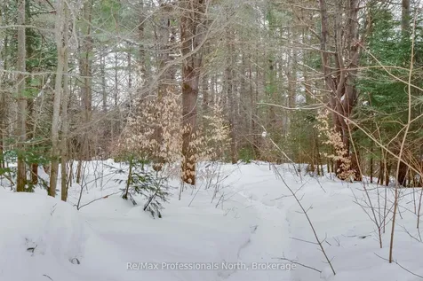 1118 Lone Pine Drive Bracebridge ON P1L 1X4