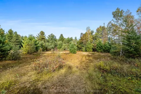 00 Highway 41 N/a Addington Highlands ON K0H 1Z0