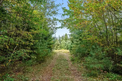 00 Highway 41 N/a Addington Highlands ON K0H 1Z0