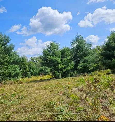 00 Highway 41 N/a Addington Highlands ON K0H 1Z0