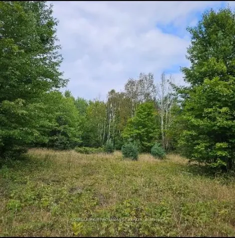 00 Highway 41 N/a Addington Highlands ON K0H 1Z0