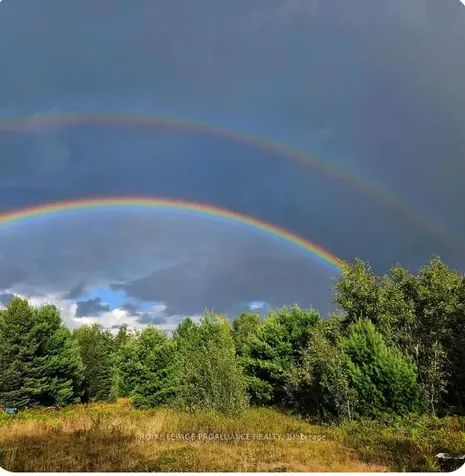 00 Highway 41 N/a Addington Highlands ON K0H 1Z0