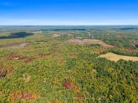 00 Highway 41 N/a Addington Highlands ON K0H 1Z0