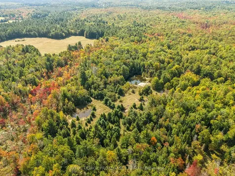 00 Highway 41 N/a Addington Highlands ON K0H 1Z0