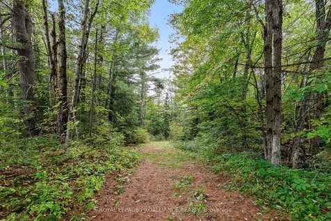 00 Highway 41 N/a Addington Highlands ON K0H 1Z0