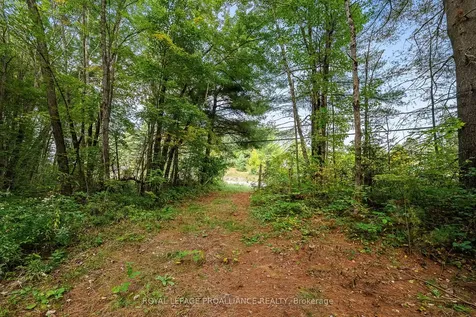 00 Highway 41 N/a Addington Highlands ON K0H 1Z0