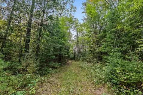 00 Highway 41 N/a Addington Highlands ON K0H 1Z0